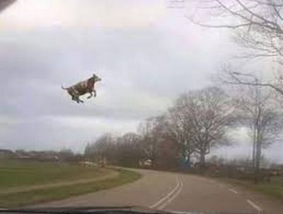 aperçu de rando